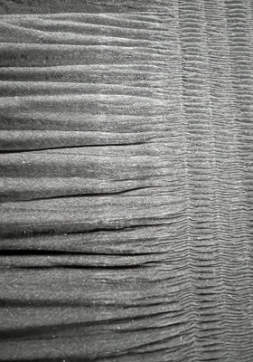 Dập Ly Nữ SS-123